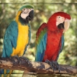 paphos-bird-park
