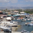 paphos-harbour-from-the-castle-1